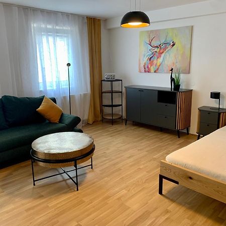 Air-Conditioned, Quiet Apartment With A Terrace In Center Of St Poelten - Smart Tv Sankt Poelten Kültér fotó