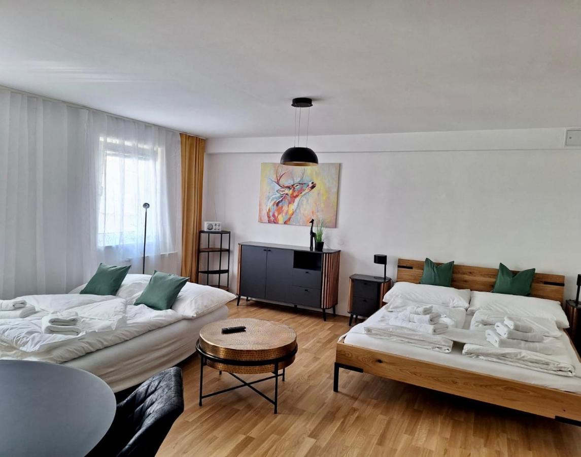 Air-Conditioned, Quiet Apartment With A Terrace In Center Of St Poelten - Smart Tv Sankt Poelten Kültér fotó